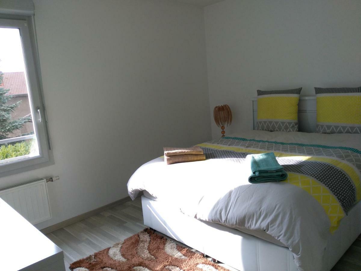 Appartement F3 Avec Parking Privee Saint-Priest  Bagian luar foto